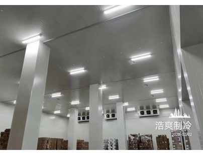 長沙洽洽5000立方食品堅(jiān)果原料加工冷庫工程建造方案