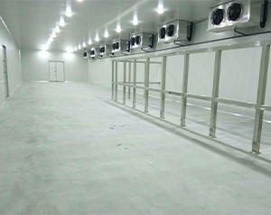 肉類儲藏冷庫建造都有哪些問題？