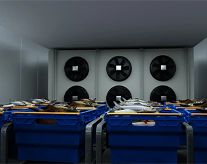 亂世之秋 生鮮電商如何突圍？